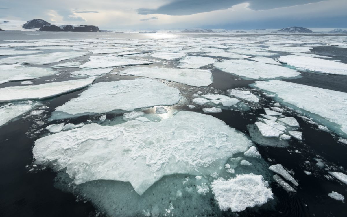 南極浮冰