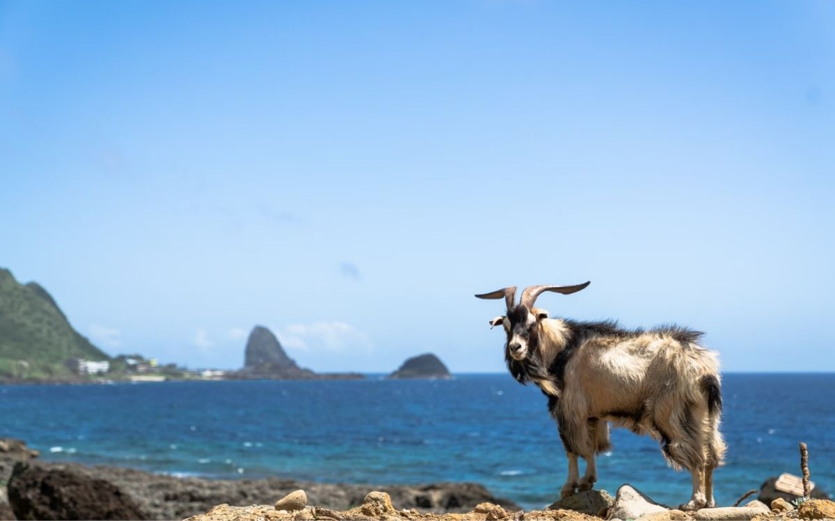 蘭嶼旅行