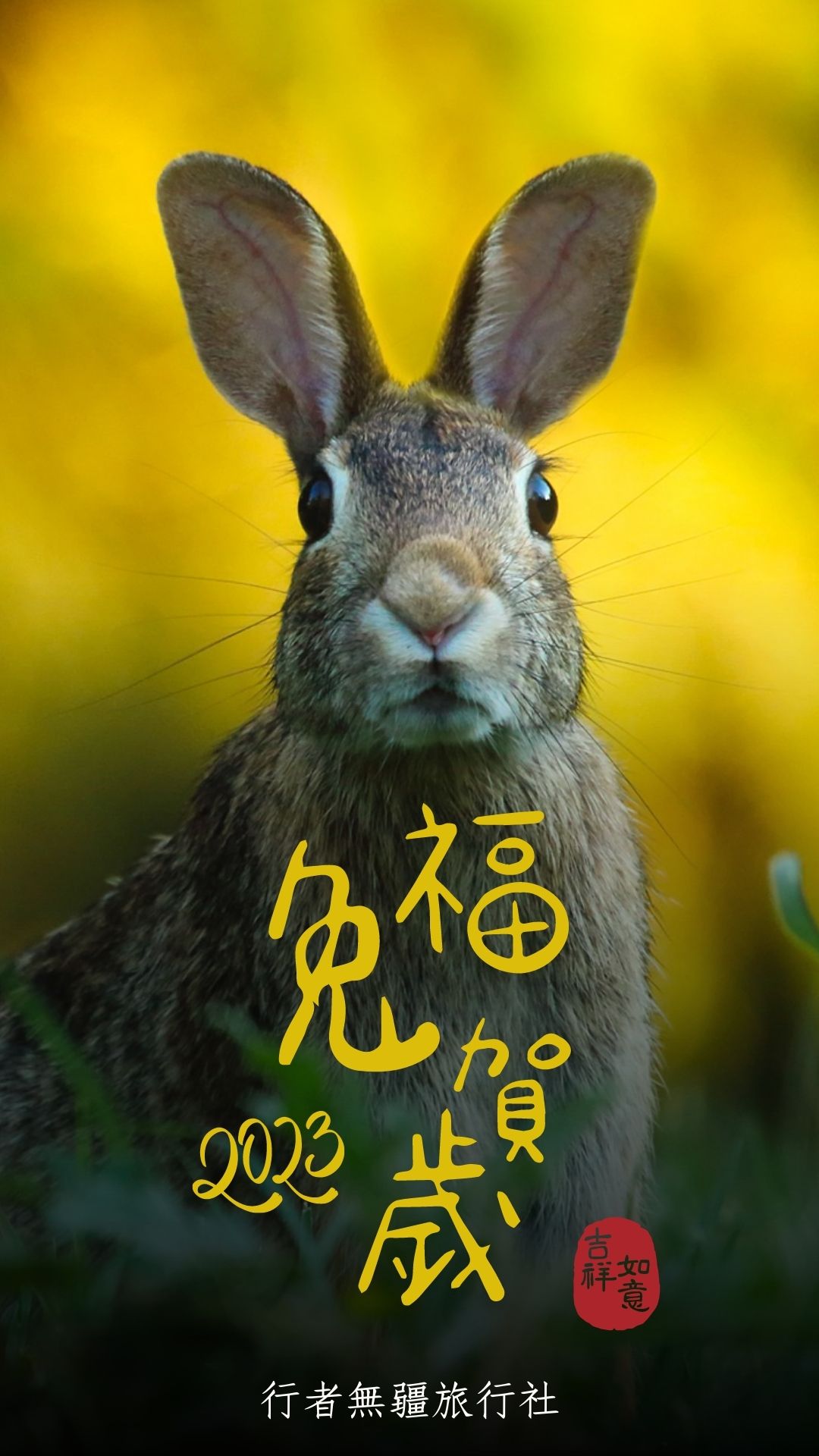 兔年行大運